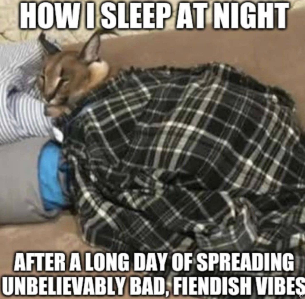 Literally me