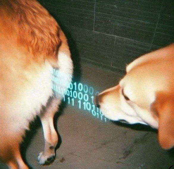 yes