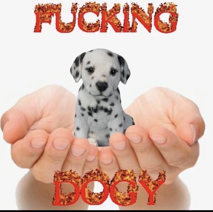 yes