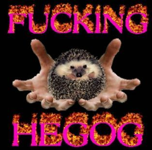 yes