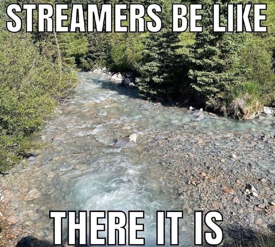 The stream