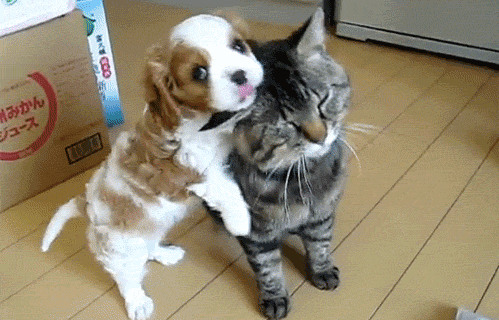 Man, that's such a cute box
