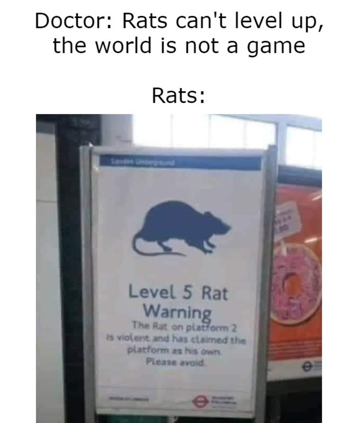 We have reached ratcon 1