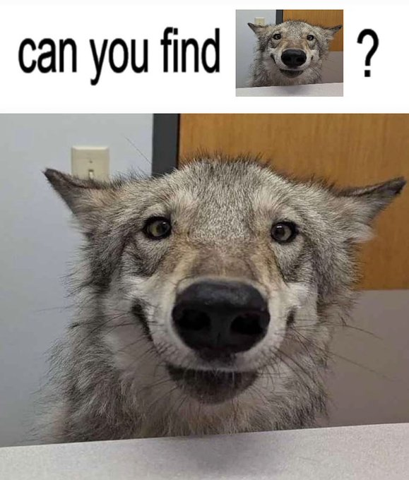 Something went wrong: Title is too short.