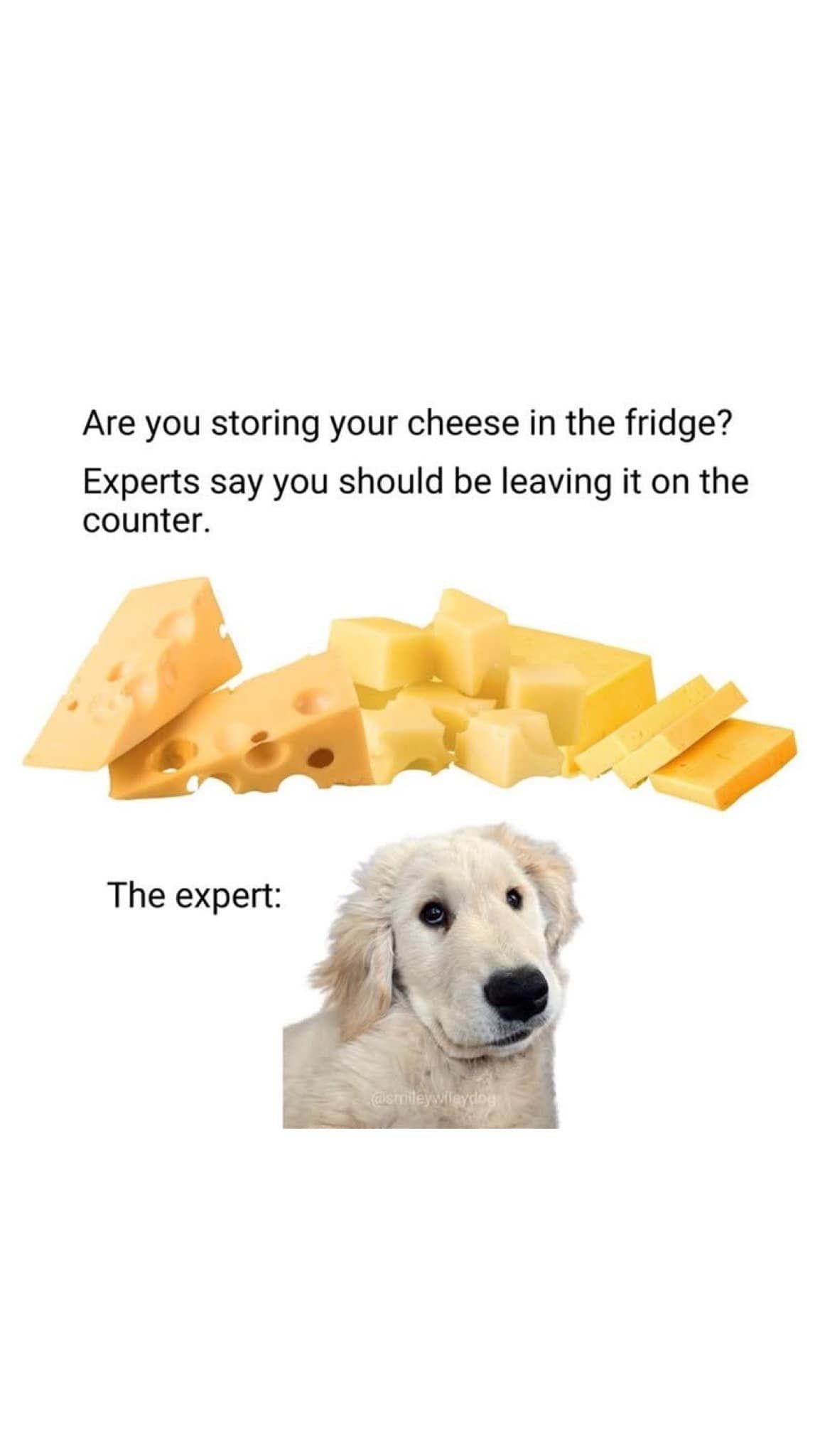 Listen to the science, human