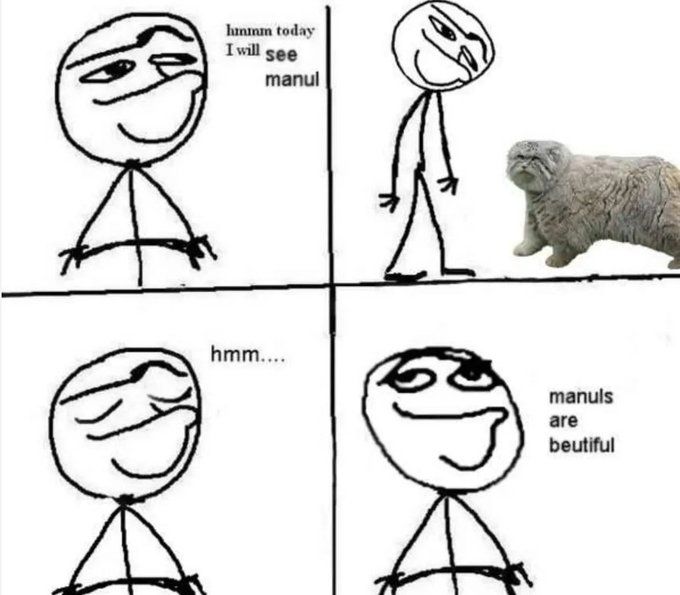 ***