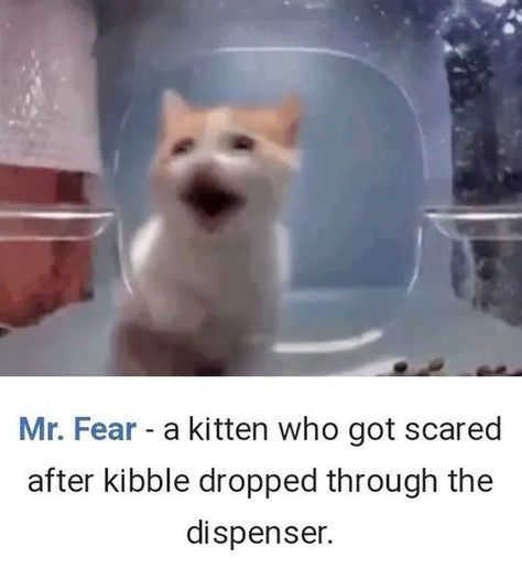 ***