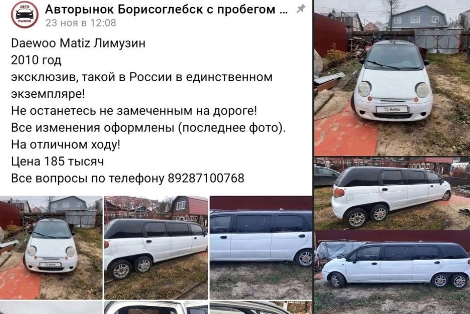 the unrestrained siberian spirit