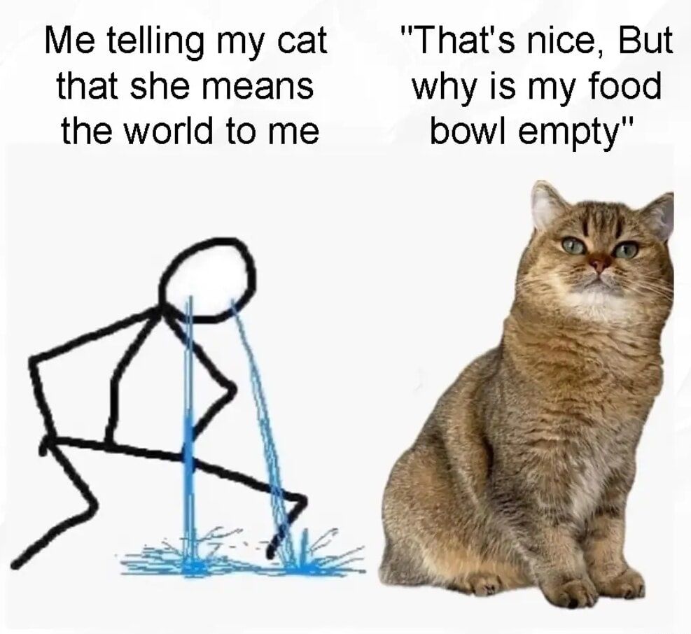 cats