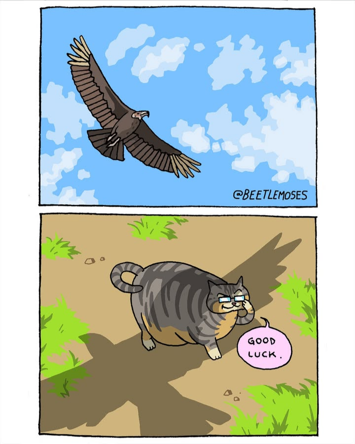 fat