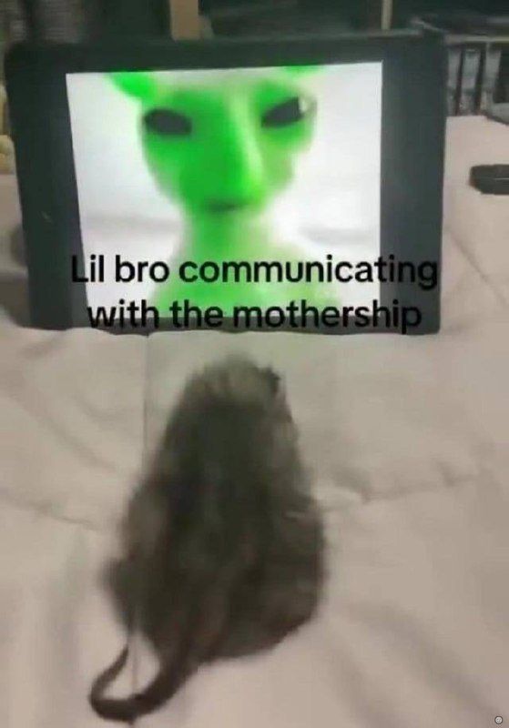***