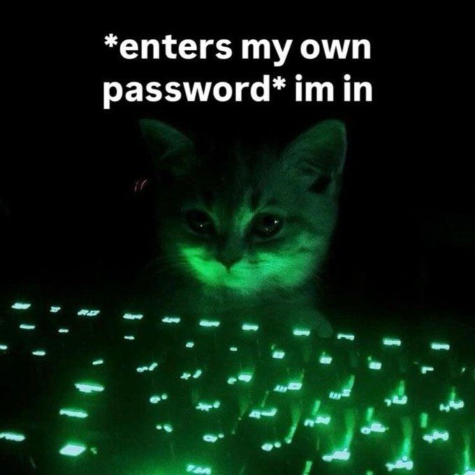 When i log tinto HL