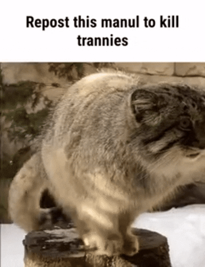 ***