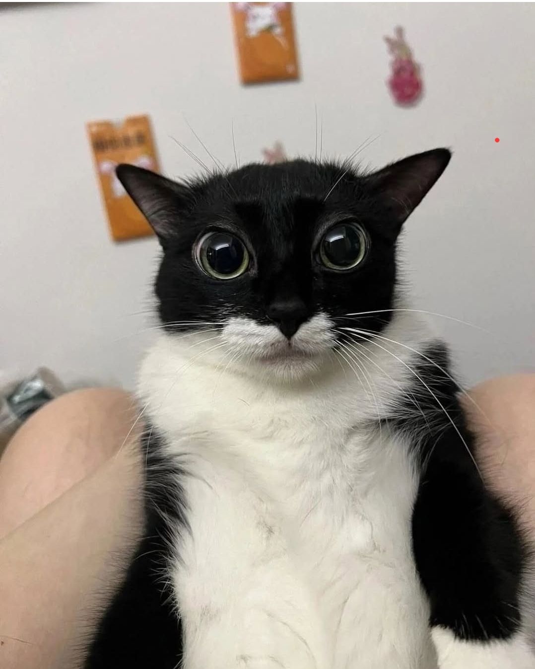 ***