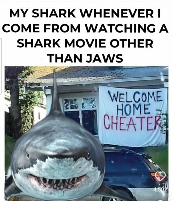 Sharknado was good NGL