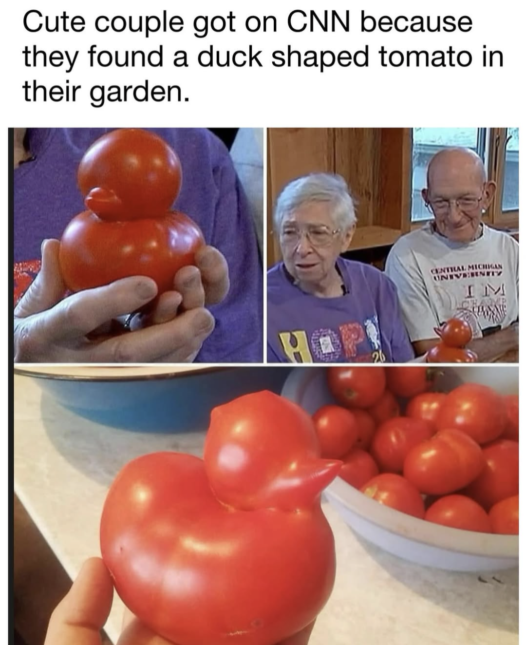 Call me when you find a tomato shaped duck