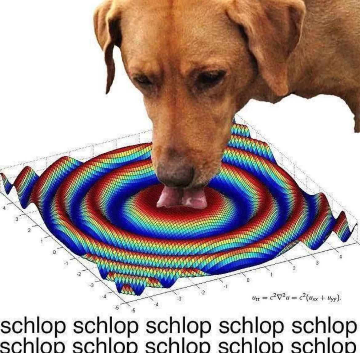 schlop schlop schlop