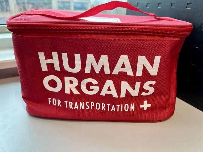 Rate my new lunch bag