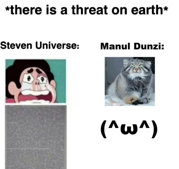 ***