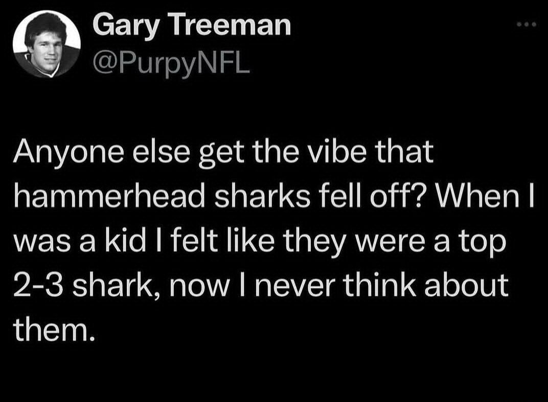 sharks