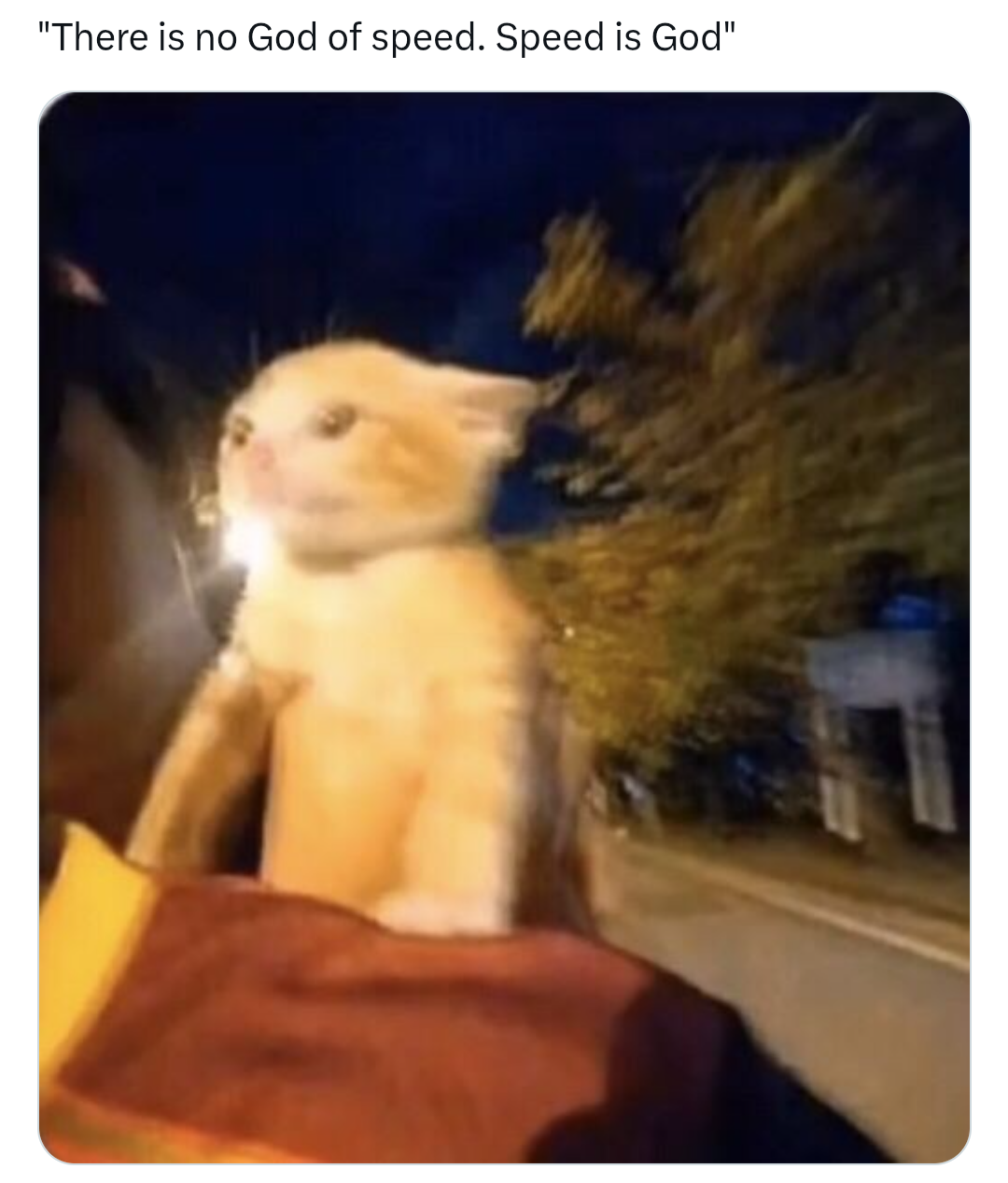 ***