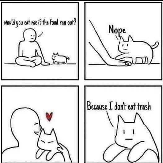 Sadge