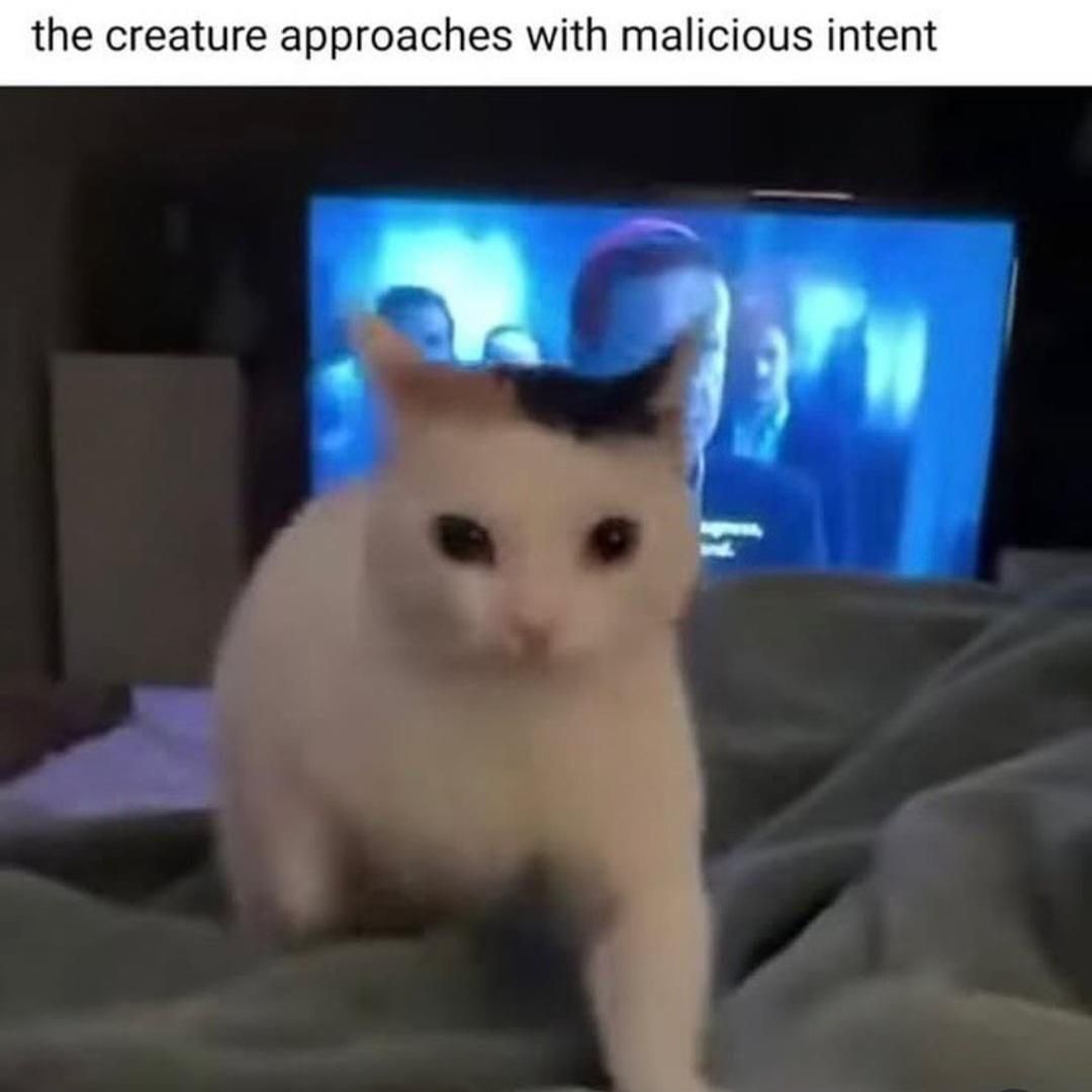 ***