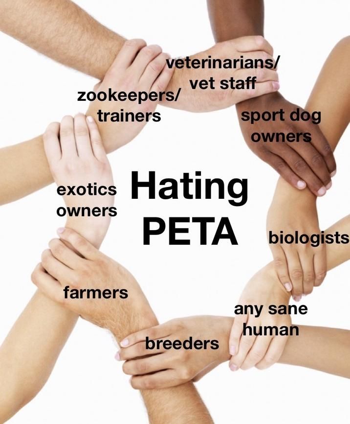 What did Peta Griffin do!?