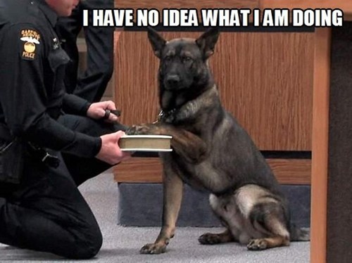 I have no idea