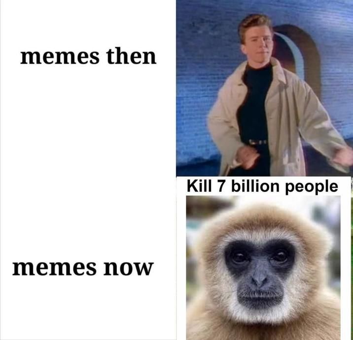 monke