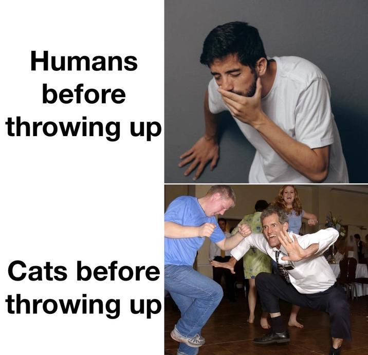 they are proud of it