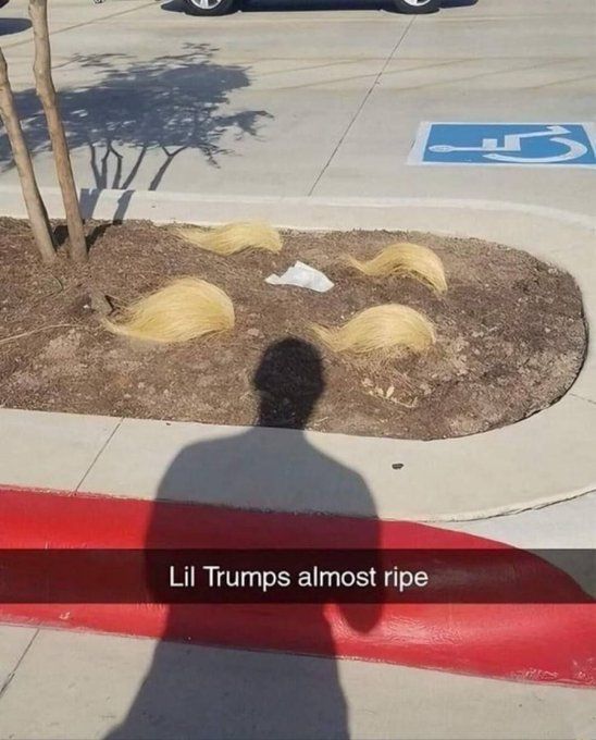 Can't wait to hear their first China