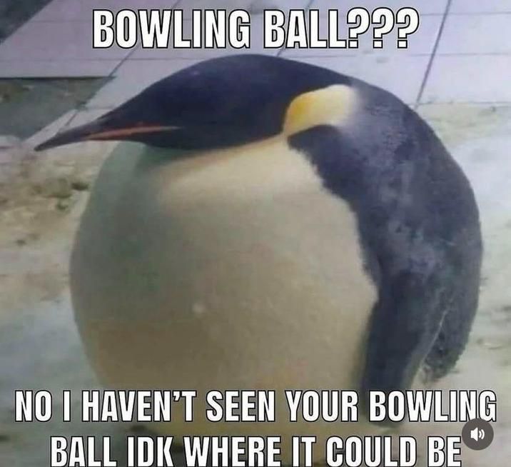 *rolls away*