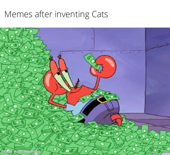 cats after inventing the internet