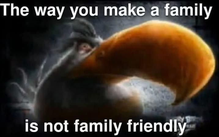 fun for the family