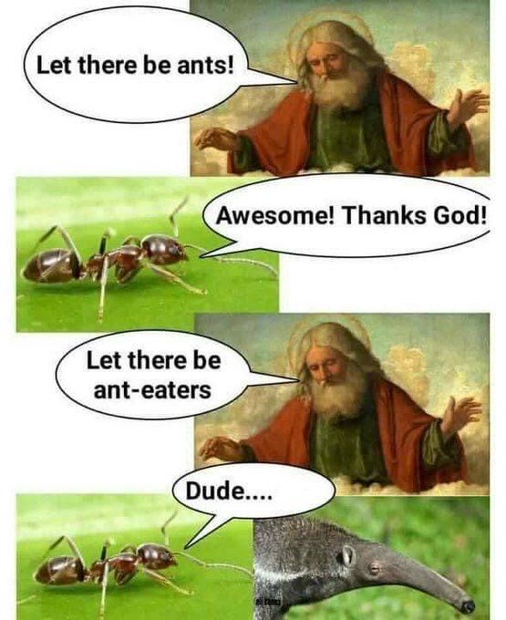 Let there be Jeff