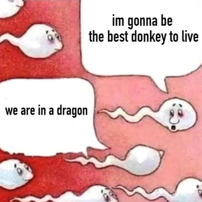 Donke