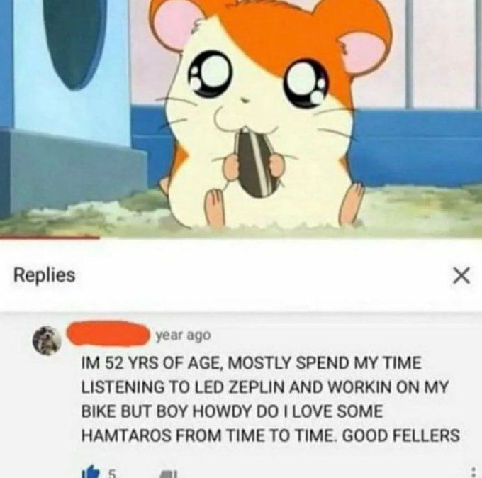 Hamtaro