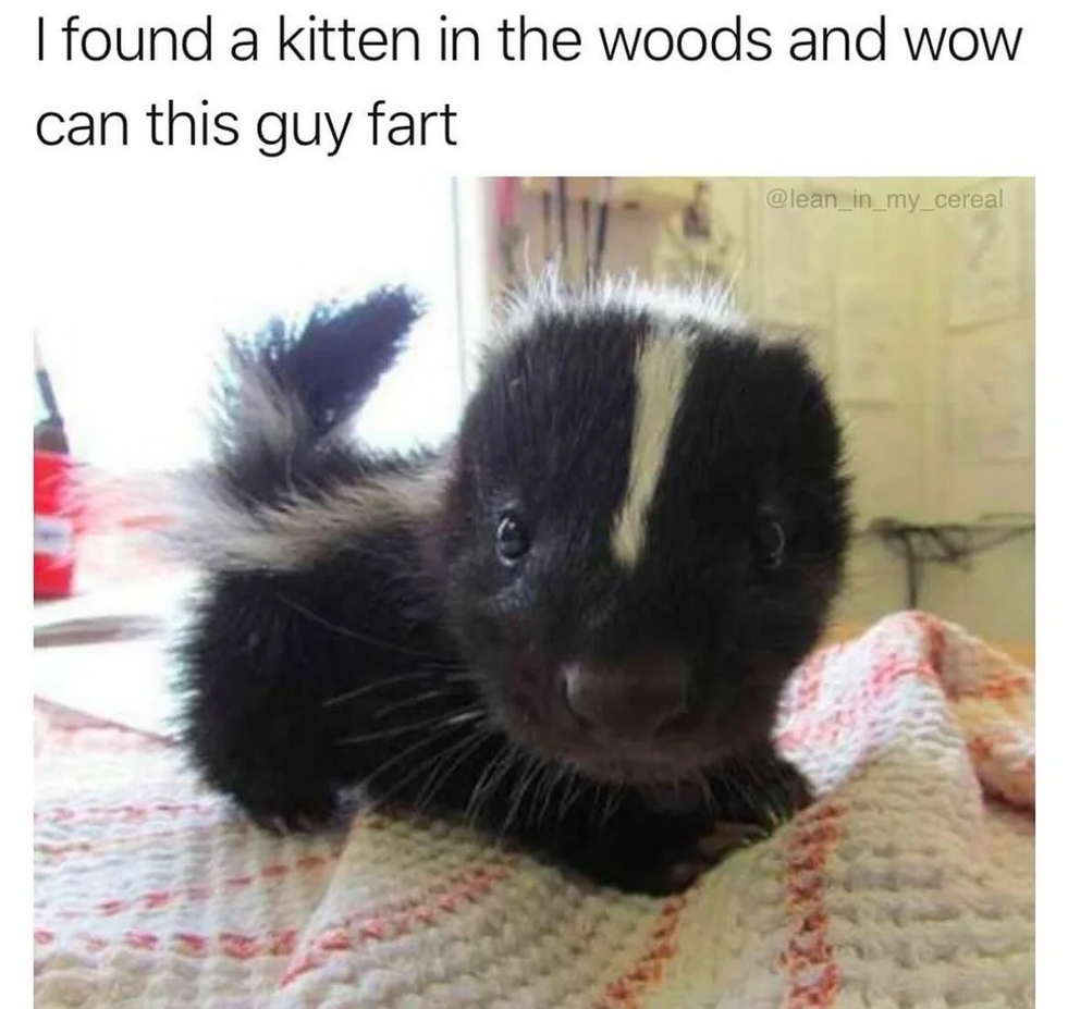 Fart yeah!