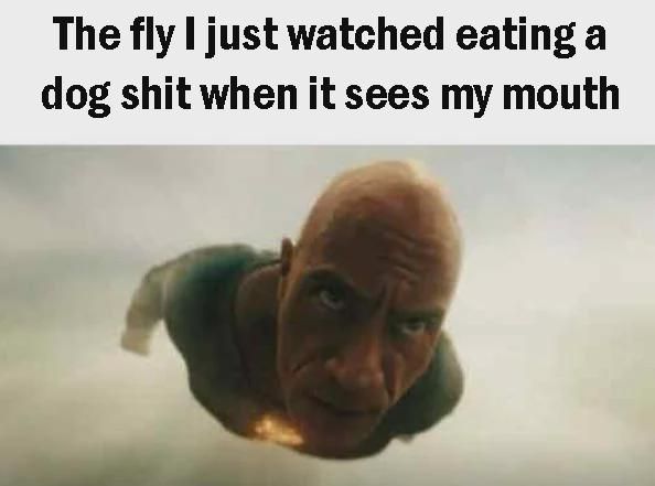 the Rothschilds controlling the fly to make it fly shit into my mouth