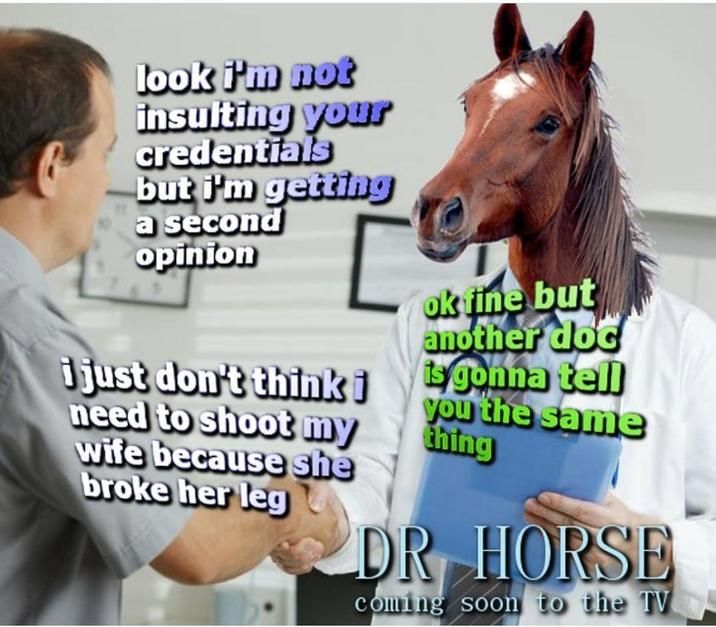 stop horsing around, doc