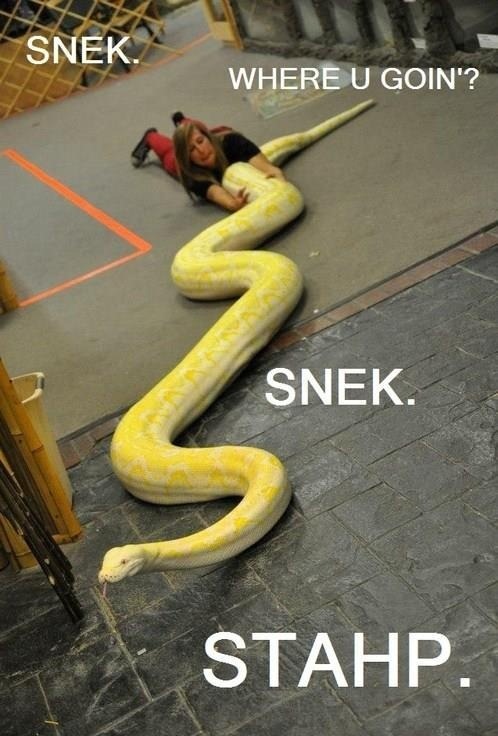 Stahp!