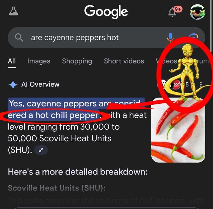 nature is a JoJo reference?