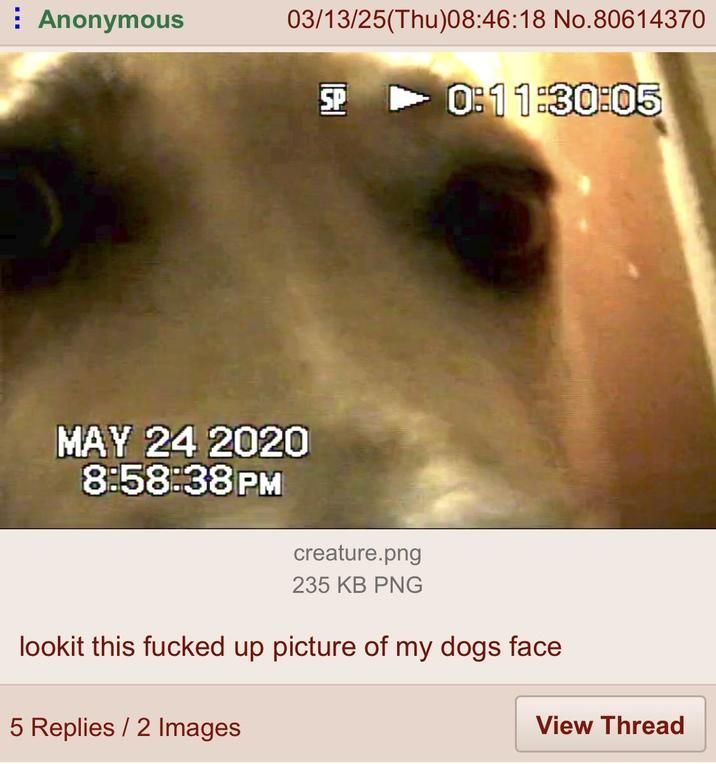 it took him almost 5 years to muster up the confidence to post this