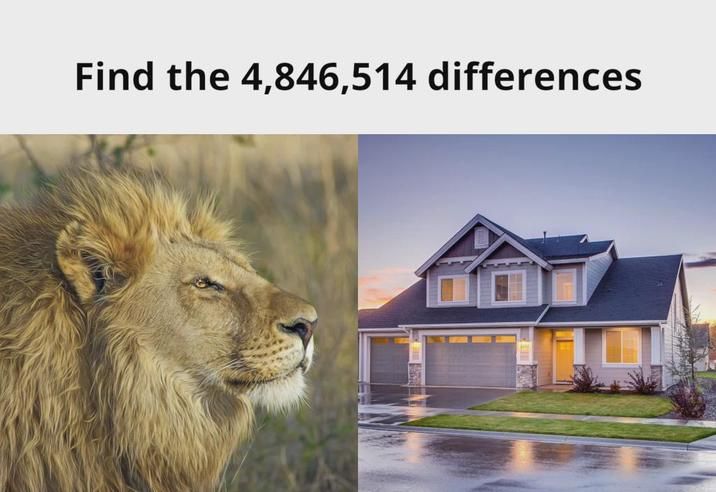 the lion is in the house, and the house is made of exactly 4,846,514 parts