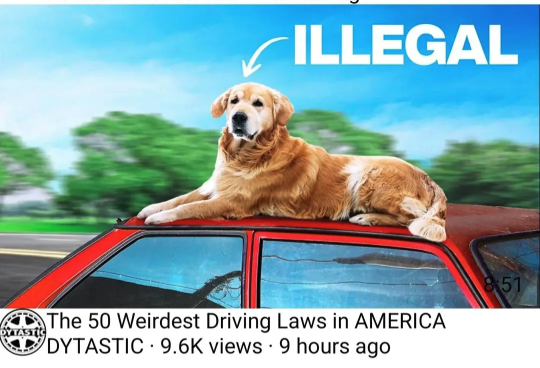chat is this real