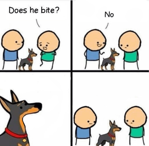 good boy