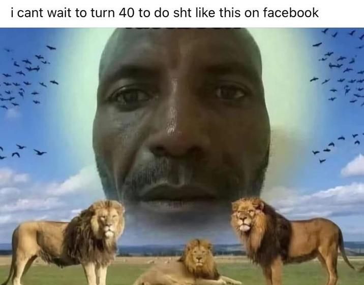 why wait?