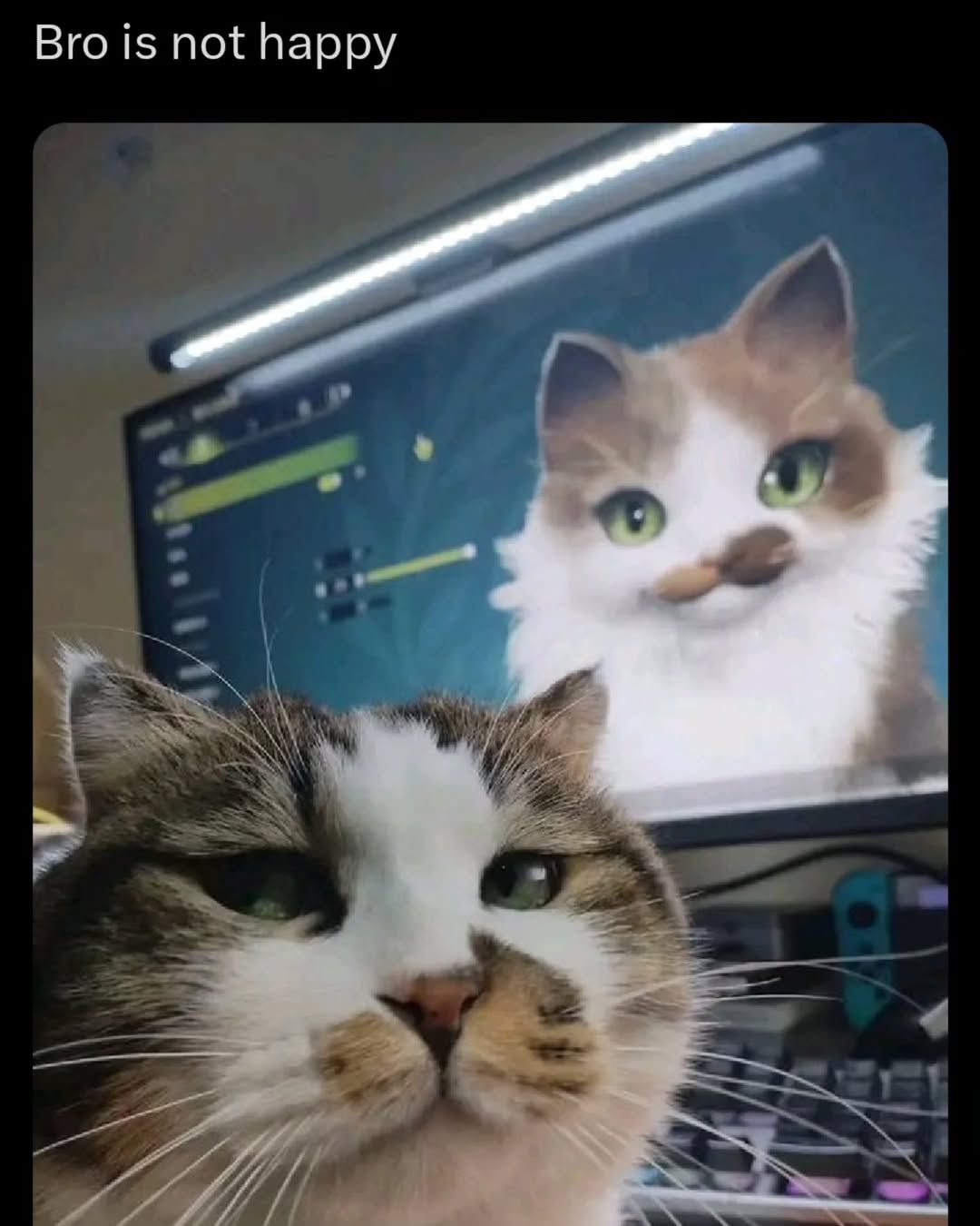 ***