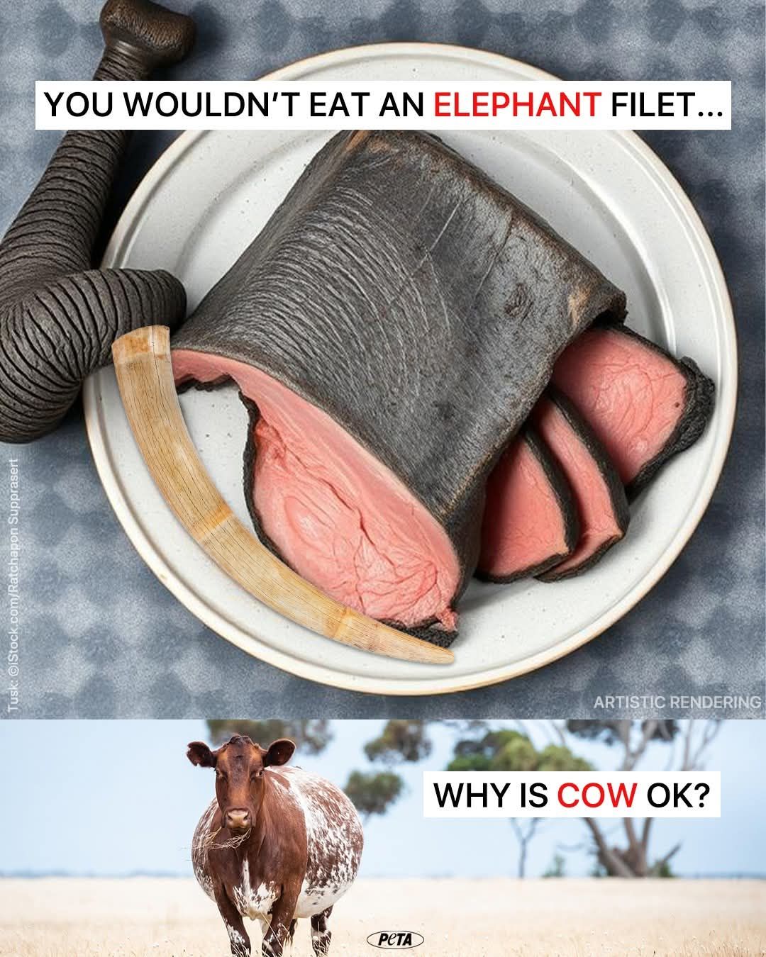 New actual peta campaign just dropped